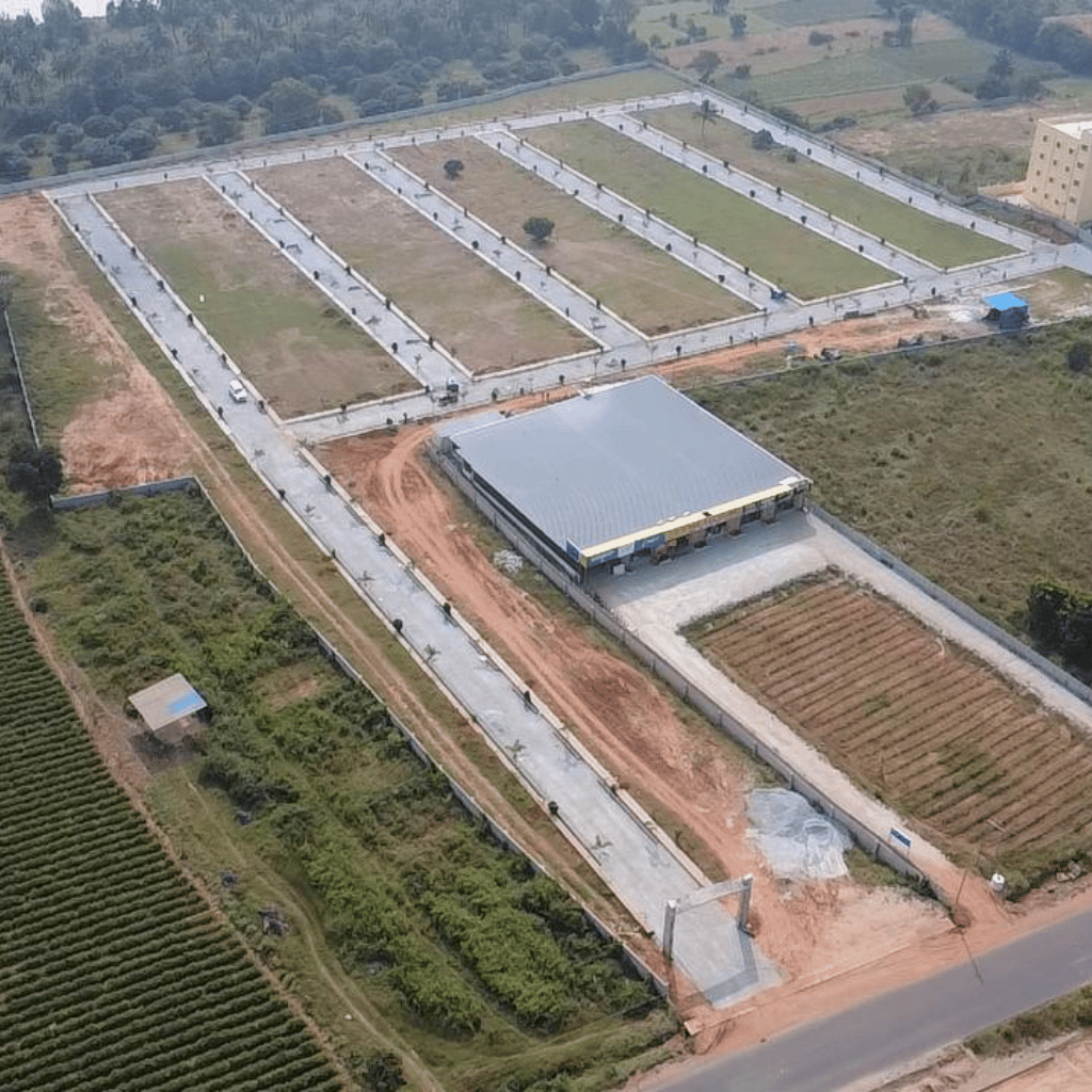 untitled design (18)