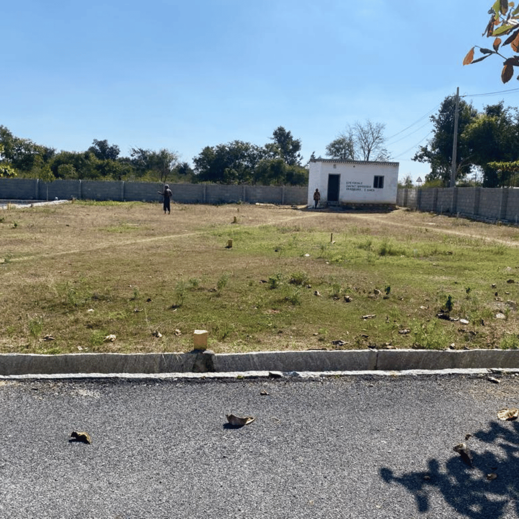 untitled design (19)