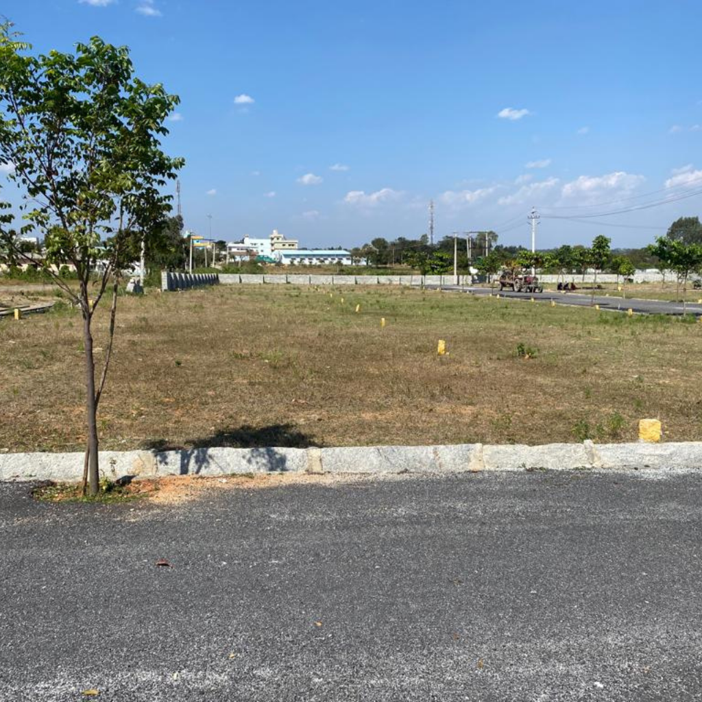 untitled design (21)