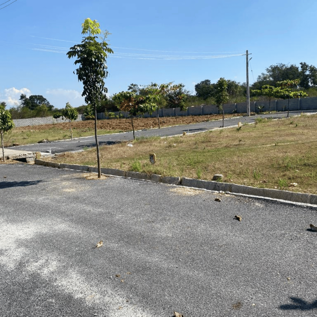 untitled design (23)