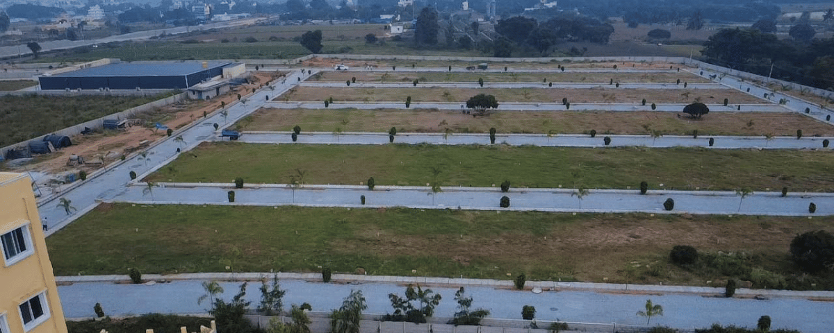 untitled design (24)