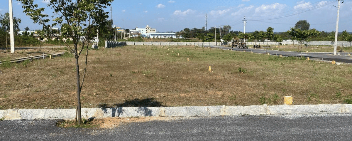 untitled design (28)