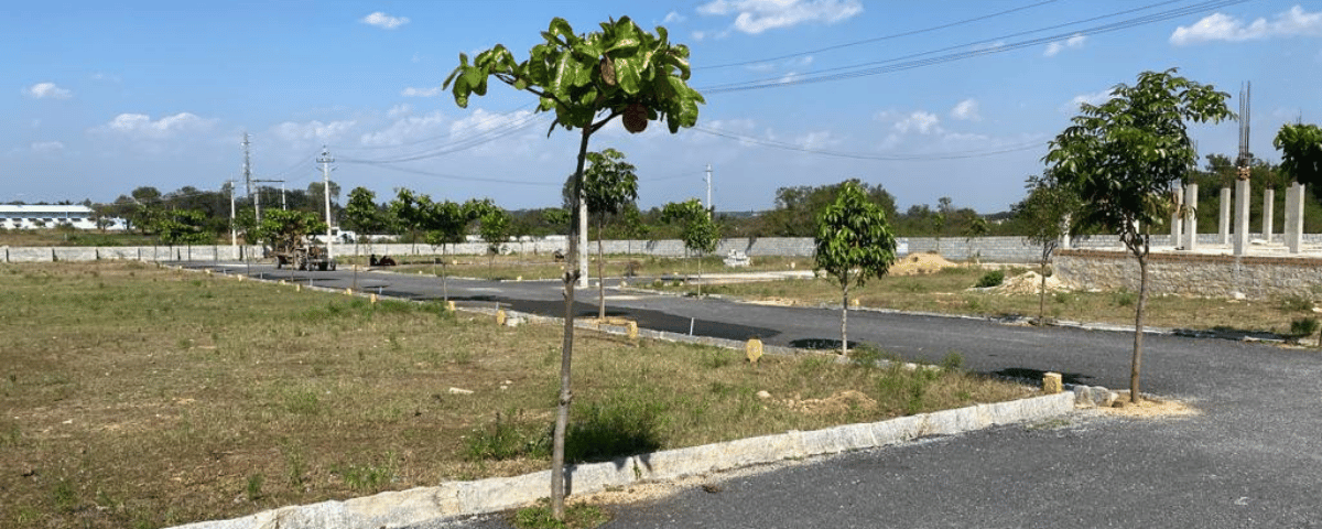 untitled design (30)